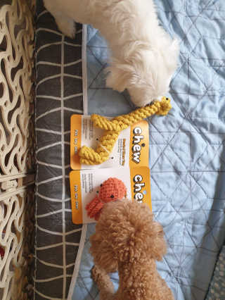 하승님이 올린 리뷰 사진 1