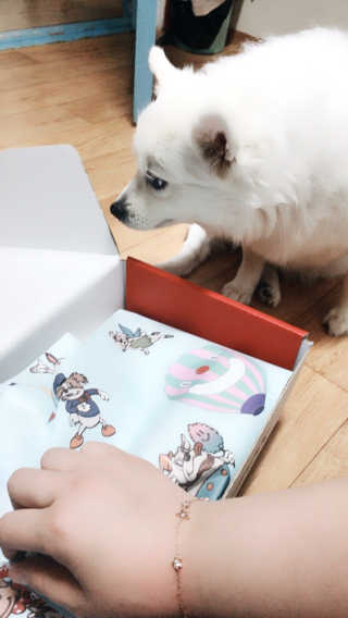 진진님이 올린 리뷰 사진 4