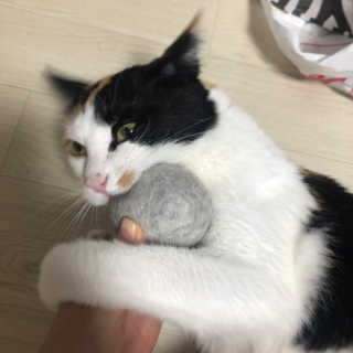 봄날님이 올린 리뷰 사진 1