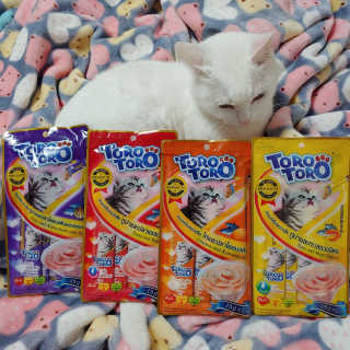 펫토리아 짜먹는 토로토로 고양이 파우치 간식 — 4점을 준 리뷰어가 2019년 6월 올린 사용 사진