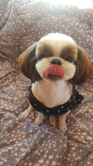 신화영님이 올린 리뷰 사진 3