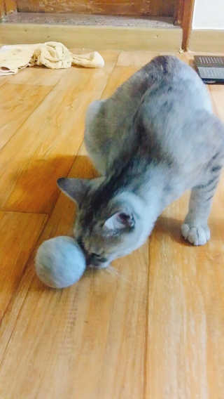 으콩님이 올린 리뷰 사진 2