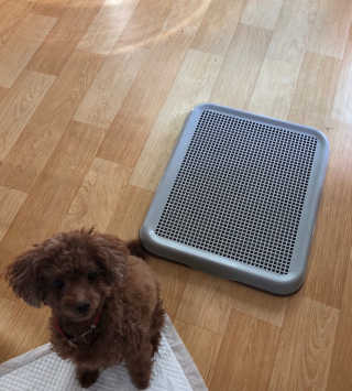 해니님이 올린 리뷰 사진 2