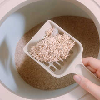 nothing님이 올린 리뷰 사진 2