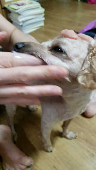 iamdodo님이 올린 리뷰 사진 2