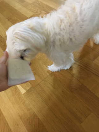 민콩님이 올린 리뷰 사진 2