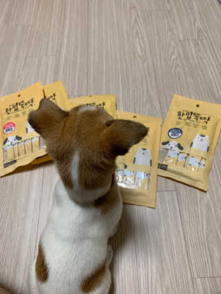 [펫토리아]짜먹는 한입뚝딱 강아지.고양이 마약간식 — 5점을 준 리뷰어가 2019년 7월 올린 사용 사진