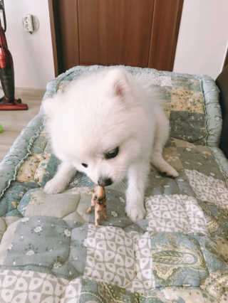 이성민님이 올린 리뷰 사진 2