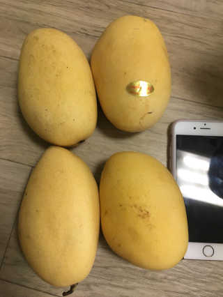 리나마미님이 올린 리뷰 사진 1