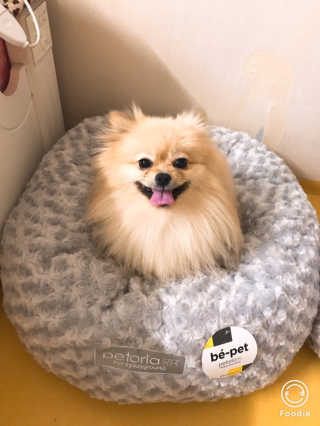 민토리님이 올린 리뷰 사진 4