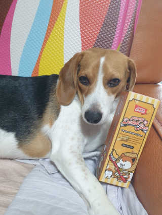 beaglelove님이 올린 리뷰 사진 2
