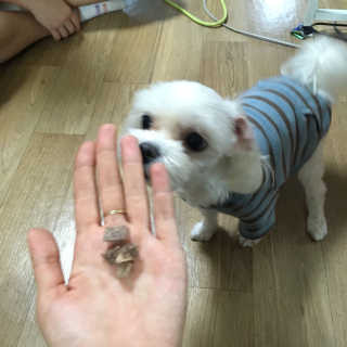 신다님이 올린 리뷰 사진 3