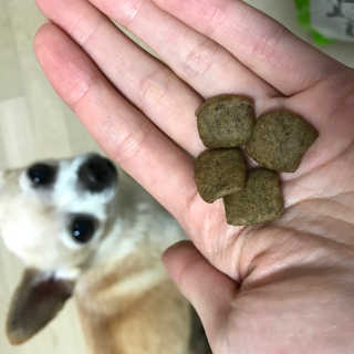 나니누네노님이 올린 리뷰 사진 1