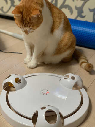 ollie님이 올린 리뷰 사진 2