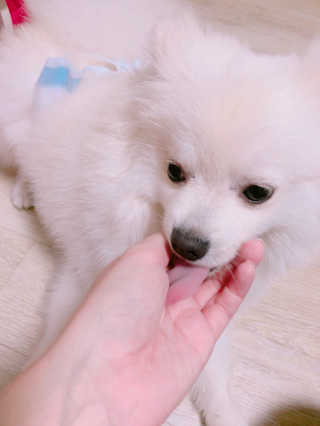 오정선님이 올린 리뷰 사진 4