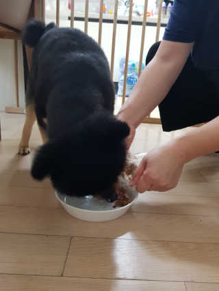 뿌빵단짠이네님이 올린 리뷰 사진 4