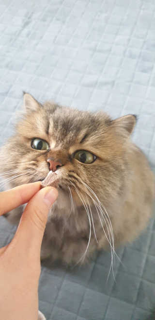 Favorite님이 올린 리뷰 사진 3