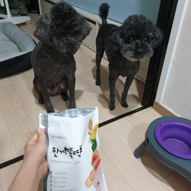 [펫토리아] 한끼뚝딱 프리미엄 강아지/고양이 리뷰 사진