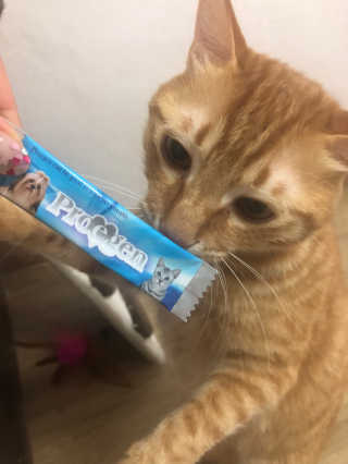 김구슬님이 올린 리뷰 사진 3