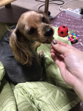 디아나님이 올린 리뷰 사진 4