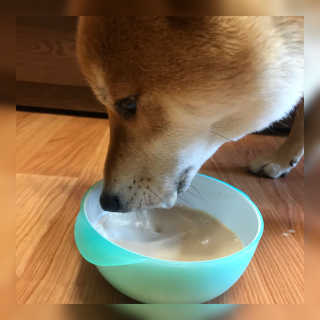 yeji님이 올린 리뷰 사진 1