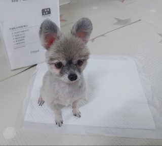 절미님이 올린 리뷰 사진 1