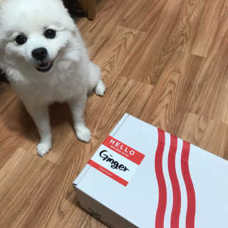 생강언니님이 올린 리뷰 사진 1