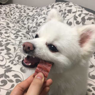 0ee님이 올린 리뷰 사진 2