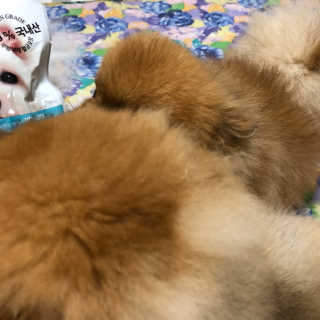 송희님이 올린 리뷰 사진 3