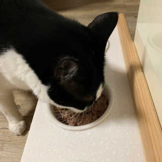 정선님이 올린 리뷰 사진 2