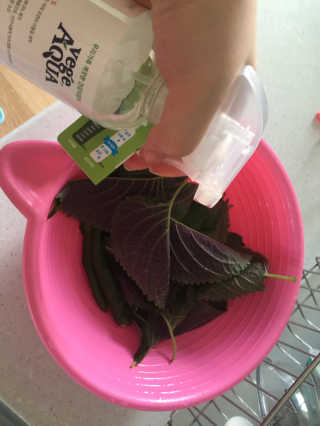 하닮님이 올린 리뷰 사진 2