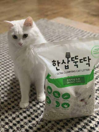 [펫토리아] BEST 고양이두부모래 6L 한삽뚝딱 — 5점을 준 리뷰어가 2019년 1월 올린 사용 사진
