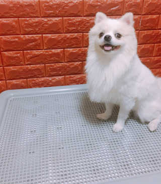 김하나님이 올린 리뷰 사진 4