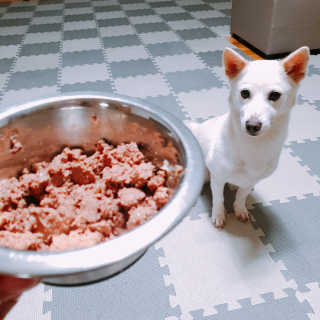 조야삐님이 올린 리뷰 사진 2