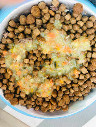 [어글어글] 반려견 친환경 간식 9종 세트 — 5점을 준 리뷰어가 2019년 11월 올린 사용 사진