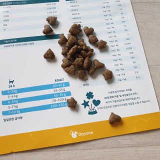 그린펫푸드 인섹트캣 글루텐프리（1.2KG） — 5점을 준 리뷰어가 2019년 9월 올린 사용 사진