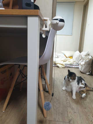 황선영님이 올린 리뷰 사진 3