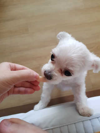 혜니니님이 올린 리뷰 사진 1