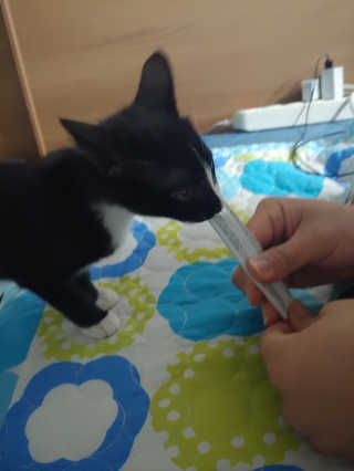 귀연정님이 올린 리뷰 사진 3