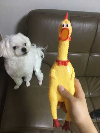 채이님이 올린 리뷰 사진 2