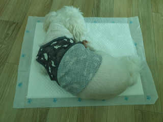 썬썬님이 올린 리뷰 사진 3