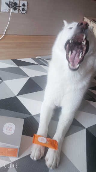 딸랑구둘🥰님이 올린 리뷰 사진 2