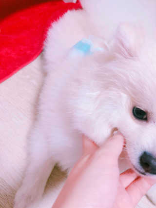 오정선님이 올린 리뷰 사진 3