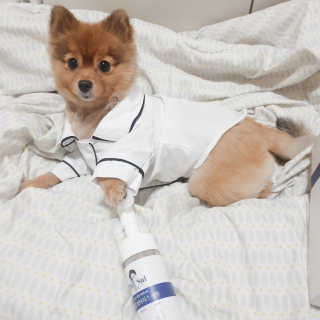 은선이짱님이 올린 리뷰 사진 4