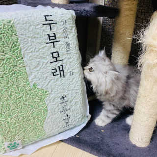 한비님이 올린 리뷰 사진 3