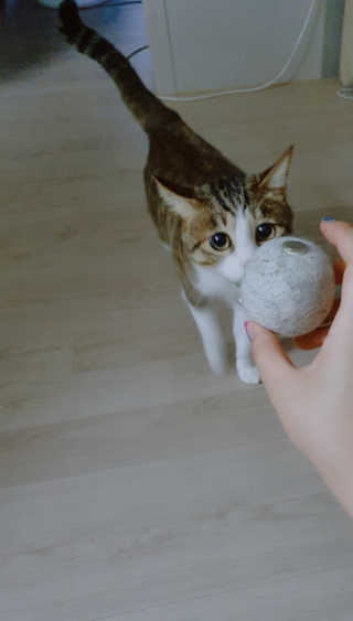 M블리님이 올린 리뷰 사진 4