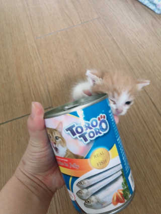백여인님이 올린 리뷰 사진 1