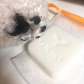 똑쟁이서영잉님이 올린 리뷰 사진 1