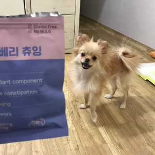 푸디웜 주식회사 [푸디웜] 강아지 저알러지 수제간식 3종세트 — 5점을 준 리뷰어가 2019년 2월 올린 사용 사진