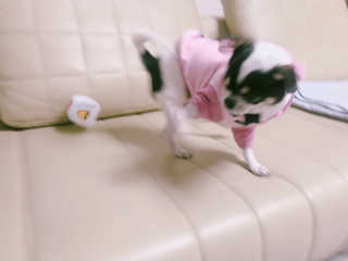 HyeSongYoon님이 올린 리뷰 사진 2
